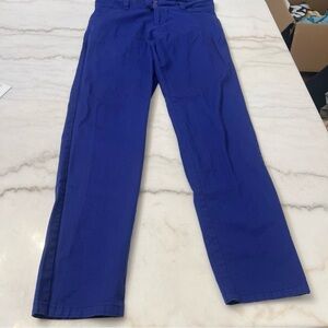 Womens Purple Blue Chino Skinny Ankle Pants Mid Rise Size Medium